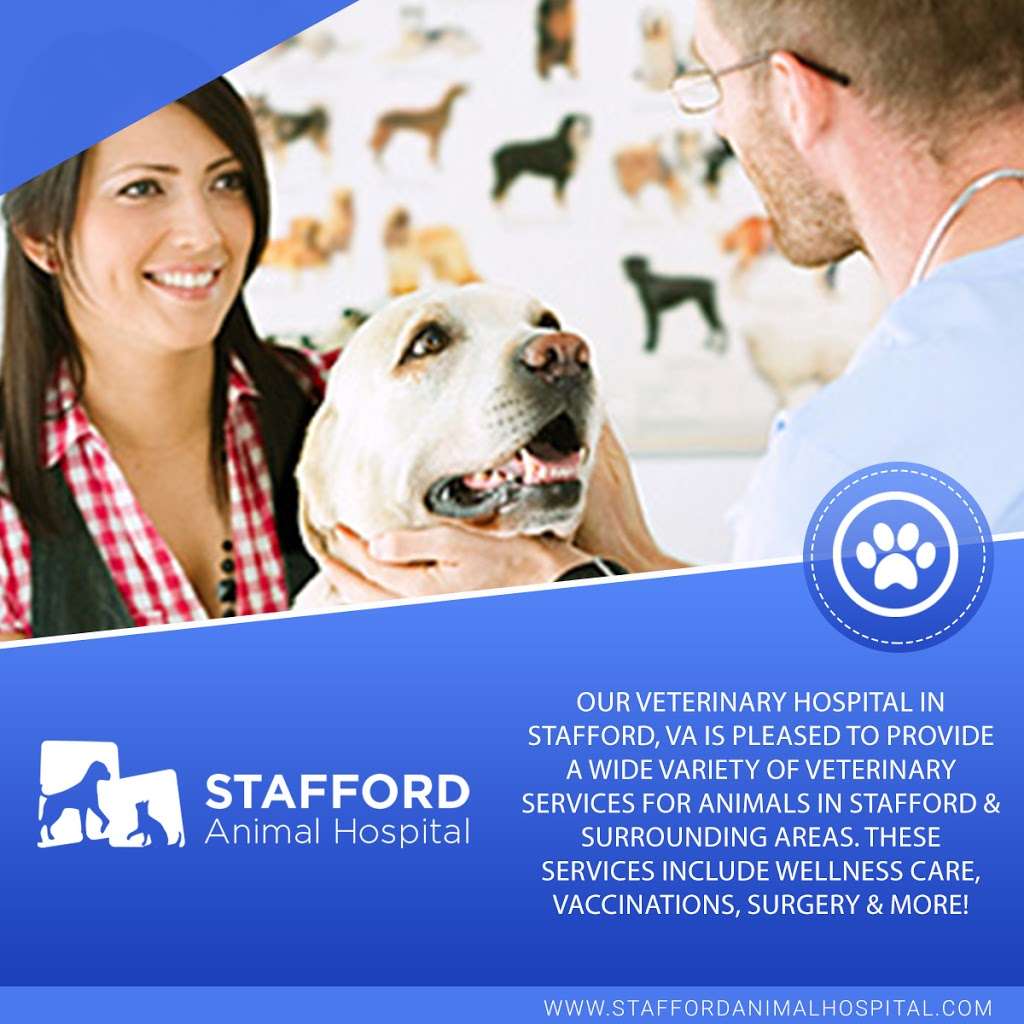 Stafford Animal Hospital | 3454 Jefferson Davis Hwy, Stafford, VA 22554, USA | Phone: (540) 659-3811