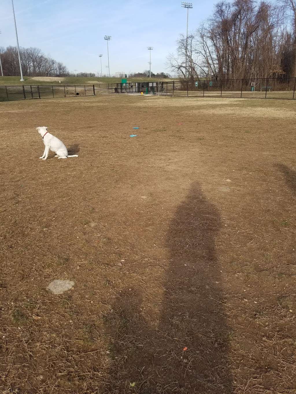 Perry Paw Dog Park | 9033 Honeygo Blvd, Perry Hall, MD 21128, USA