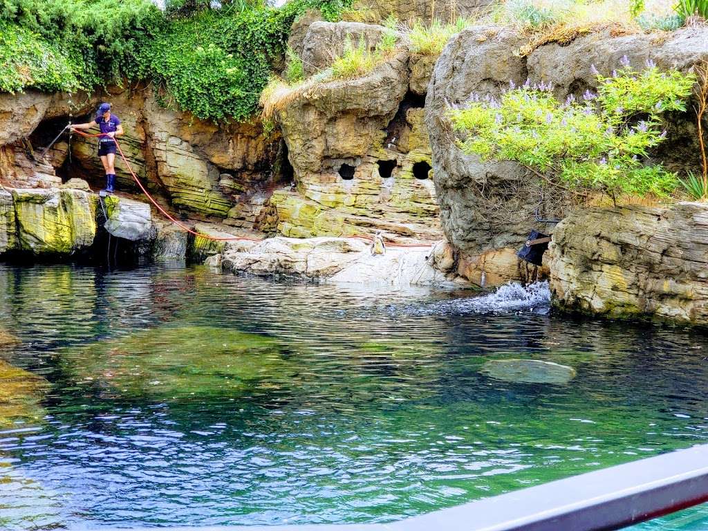 New York Aquarium | 602 Surf Ave, Brooklyn, NY 11224, USA | Phone: (718) 265-3474
