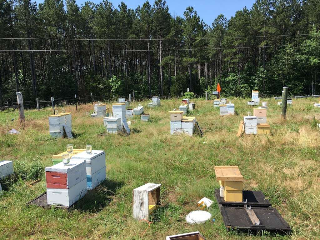 Honey Strong Bee Supply & Bee Nursery | 1753 Ebenezer Rd, Smyrna, SC 29743, USA | Phone: (704) 993-6833