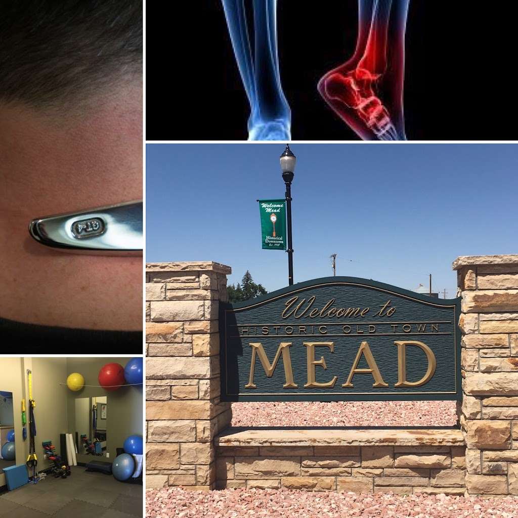 Active Life Chiropractic & Massage Center | 209 Main St, Mead, CO 80542, USA | Phone: (970) 535-9900