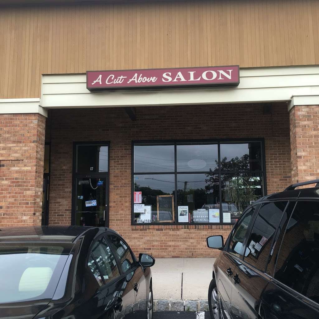 A Cut Above Salon LLC | 160 Lawrenceville Pennington Rd Suite #17, Lawrence Township, NJ 08648, USA | Phone: (609) 896-2500