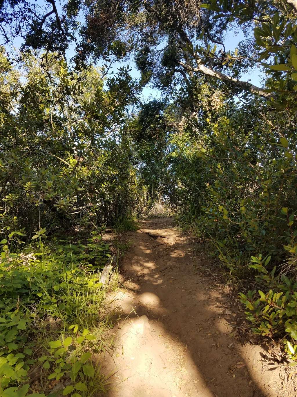 Oak Riparian Park | 4625 Lake Blvd, Oceanside, CA 92056, USA