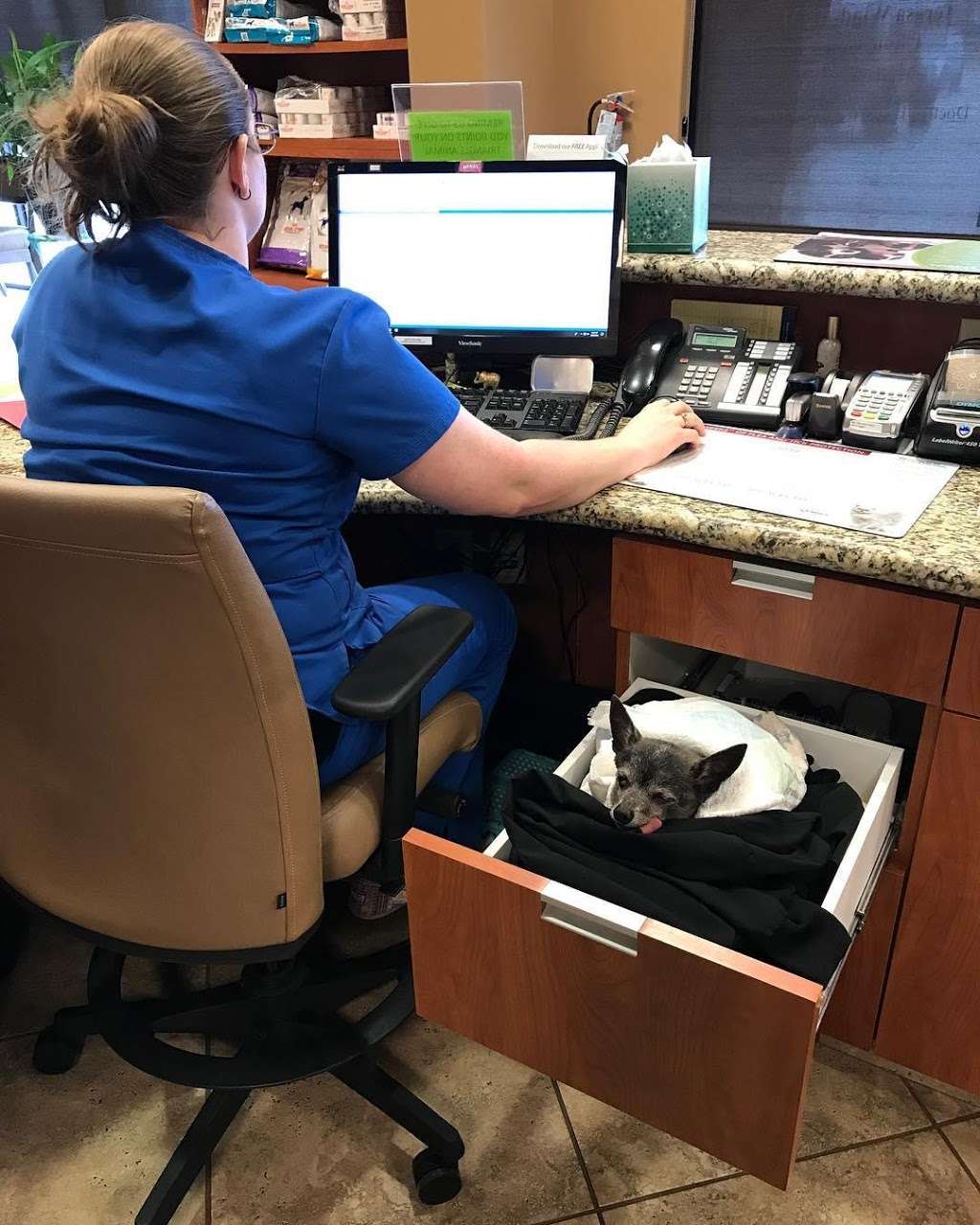 Triangle Animal Clinic Of Conroe PC | 463 Farm to Market Rd 1488 Suite 119, Conroe, TX 77384, USA | Phone: (936) 756-3318