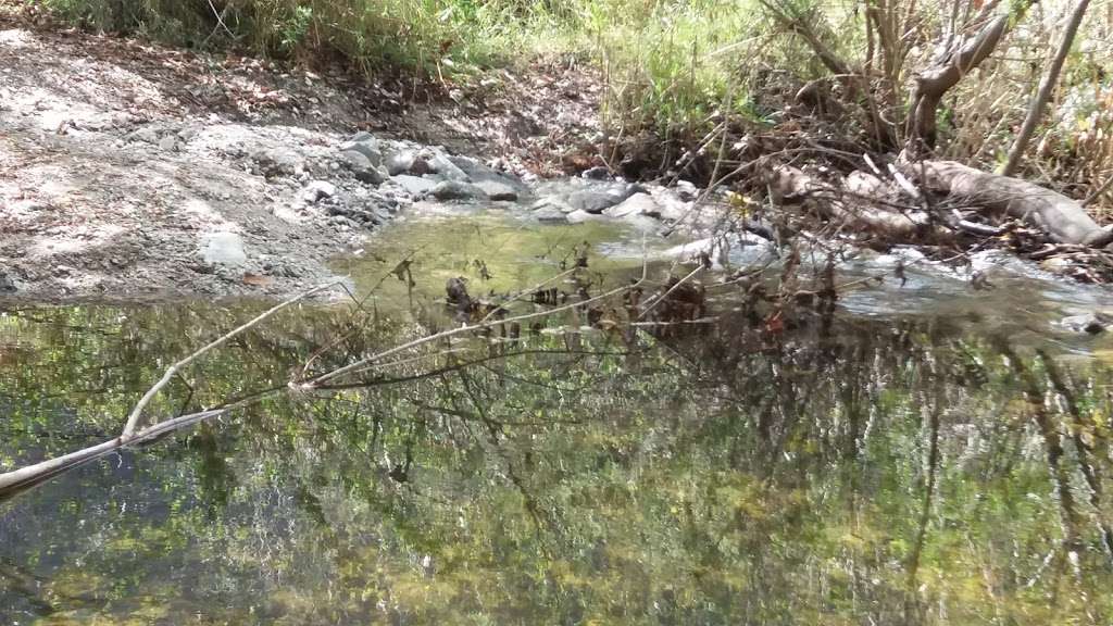 Stone Canyon Trailhead | 2408 Stonyvale Rd, Tujunga, CA 91042, USA