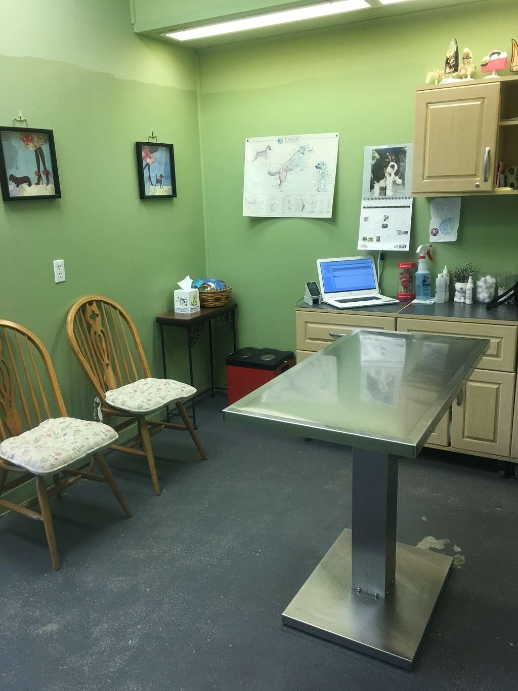 All Cats & Dogs Veterinary Clinic | 6543 Crain Hwy, La Plata, MD 20646 | Phone: (301) 392-9966