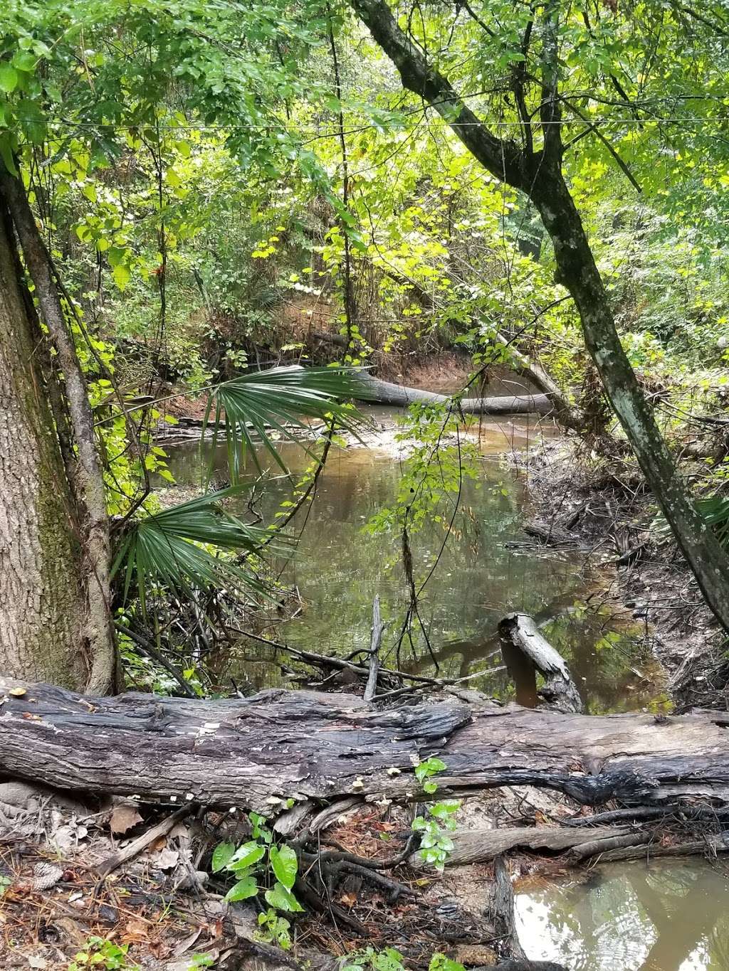 Lone Star Hiking Trail - Trailhead # 15 | Cleveland, TX 77328, USA | Phone: (936) 344-6205