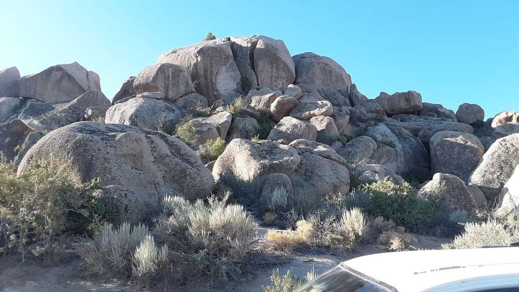 Bobcat Hollow Wildlife Reserve | Apple Valley, CA 92308, USA