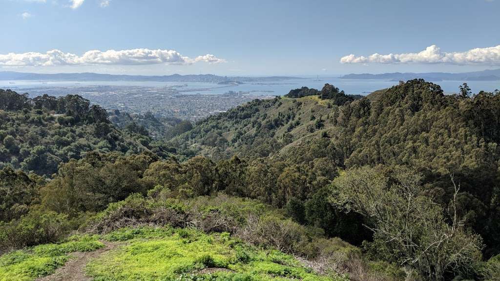 Grizzly Peak Blvd Overlook | 4348 Grizzly Peak Blvd, Berkeley, CA 94705, USA