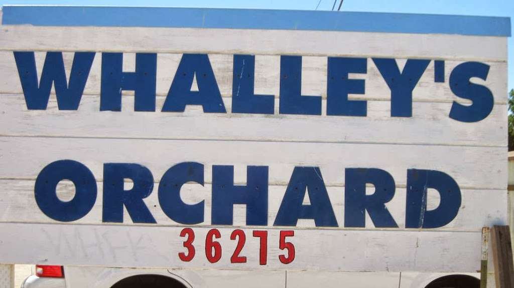 Whalleys Orchard | 36275 87th St E, Littlerock, CA 93543, USA | Phone: (661) 480-6454