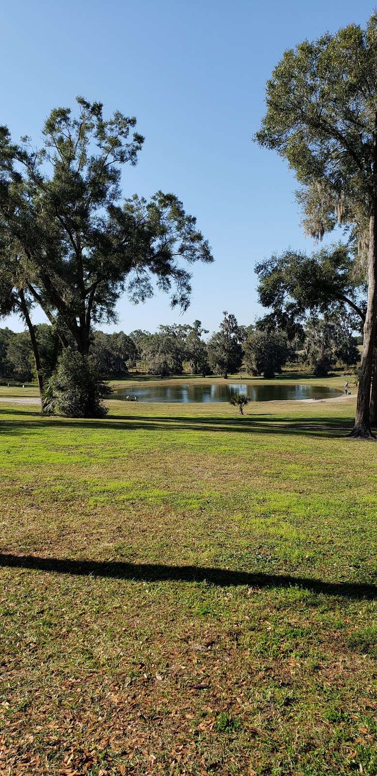 Barkley Square Dog Park | 1010 N Ridgewood Ave, DeLand, FL 32720, USA | Phone: (386) 736-5953