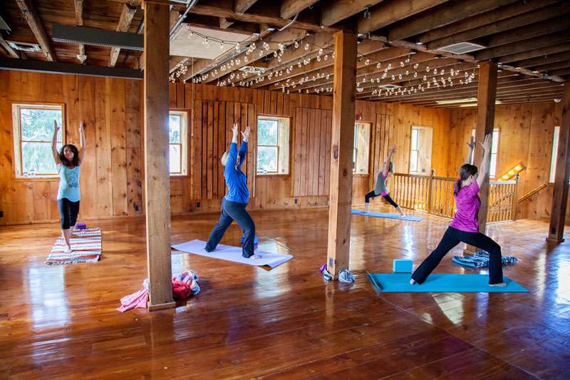 Align Yoga and Wellness | 1123 Trexlertown Rd, Trexlertown, PA 18087 | Phone: (484) 504-9642