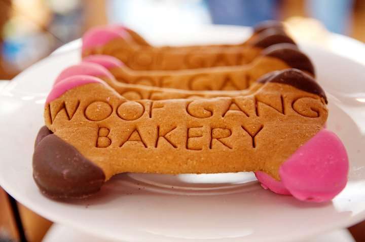 Woof Gang Bakery & Grooming Lake Nona - Retail, Grooming | 13832 Narcoossee Rd suite 103-b, Orlando, FL 32832, USA | Phone: (407) 403-5491