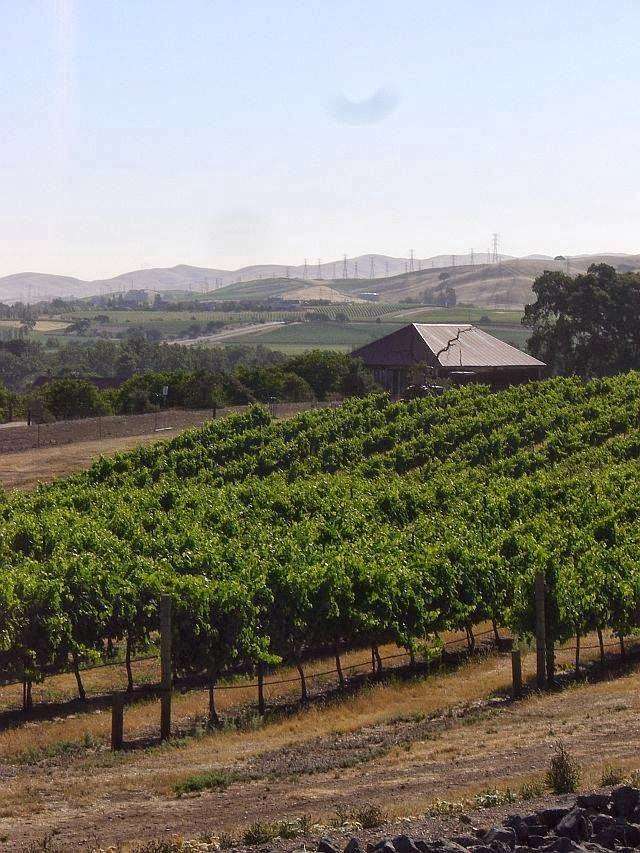 Livermore Valley Wine and Cycle Tours, LLC | 871 Kottinger Dr, Pleasanton, CA 94566 | Phone: (925) 399-6751