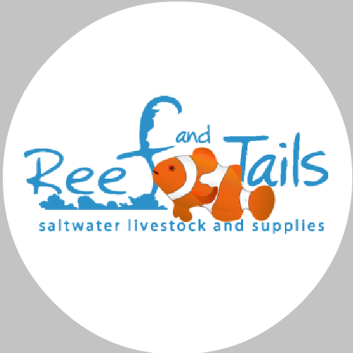 Reef and Tails | 2501 Penn Ave, West Lawn, PA 19609, USA | Phone: (610) 678-6066