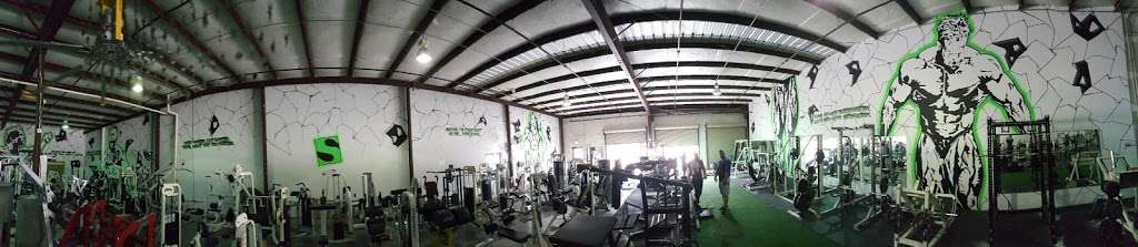 Species Gym | 3115 N Fry Rd #305, Katy, TX 77449, USA | Phone: (832) 427-5770