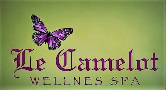 Le Camelot Wellness Spa - Sandra Brooks, LMT #MA05943 | 19923 Jodi Dr, Lutz, FL 33558 | Phone: (813) 239-4090