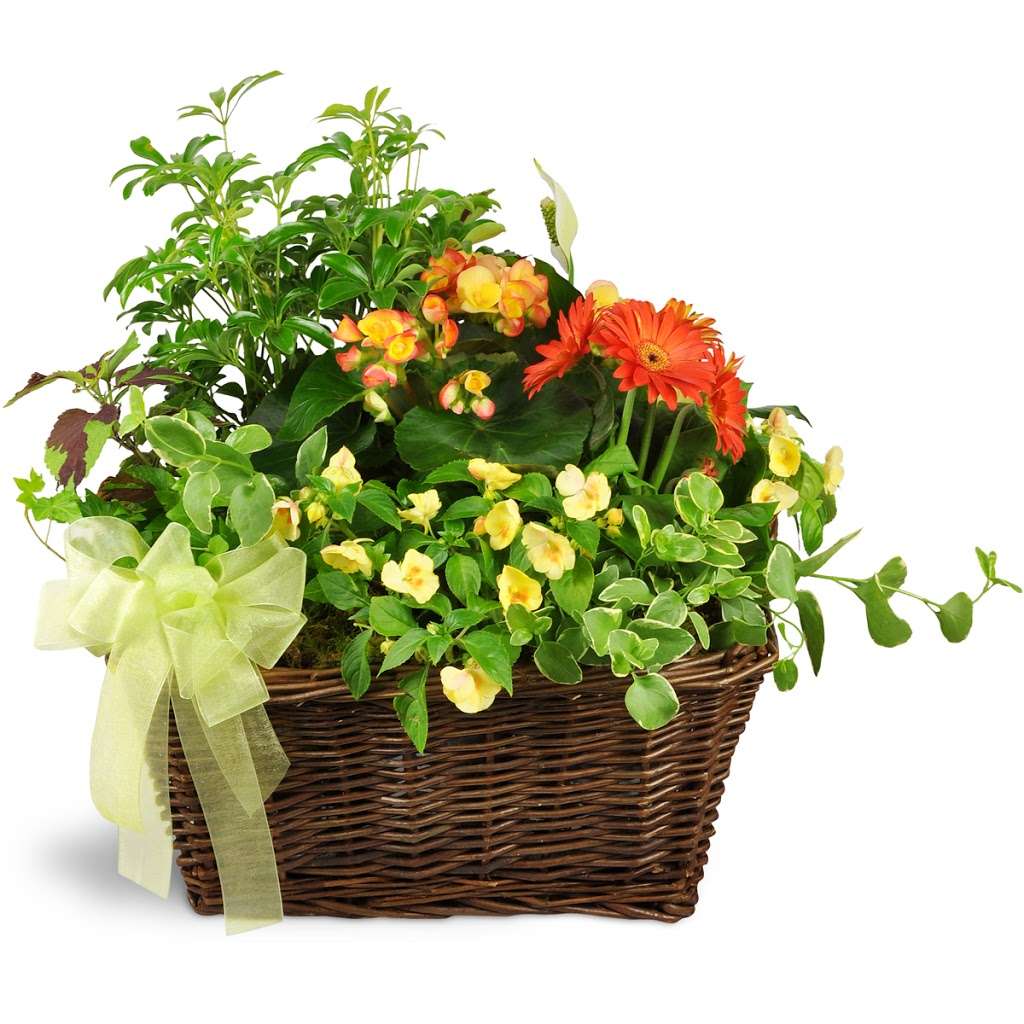 Rudys Flower Shop | 4096 Main St, Bridgeport, CT 06606, USA | Phone: (203) 372-2881