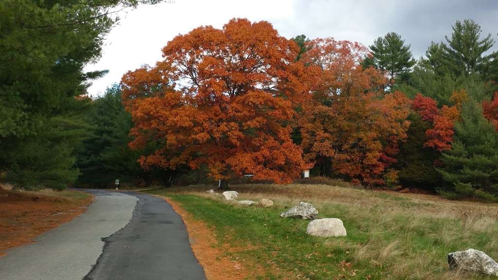 Ridge Hill Reservation | Needham, MA 02492, USA