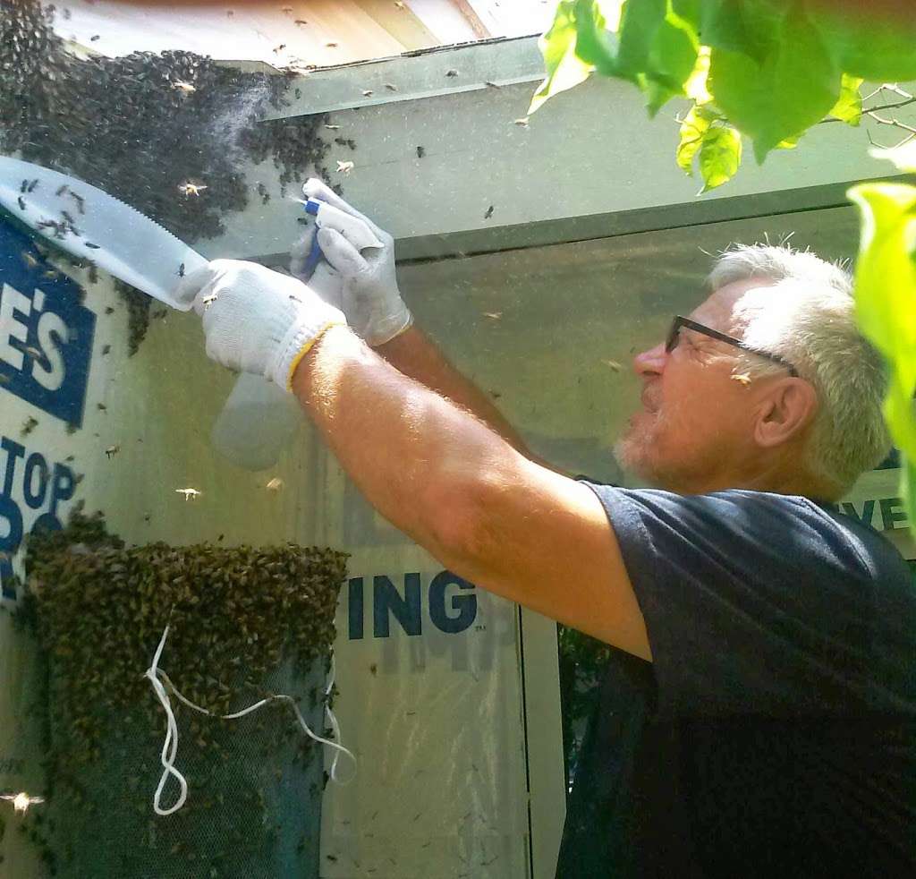 Lake Worth Bee Removal by Beekeepers | 5455 Canal Dr, Lake Worth, FL 33463 | Phone: (561) 531-9708