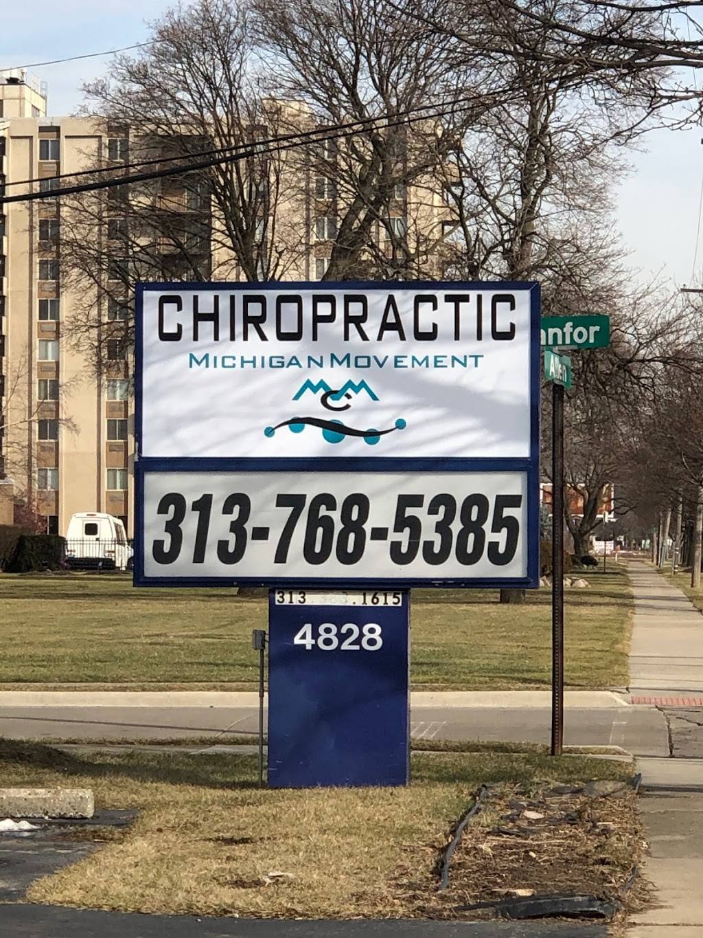 Michigan Movement Chiropractic | 4828 Allen Rd, Allen Park, MI 48101, USA | Phone: (313) 768-5385