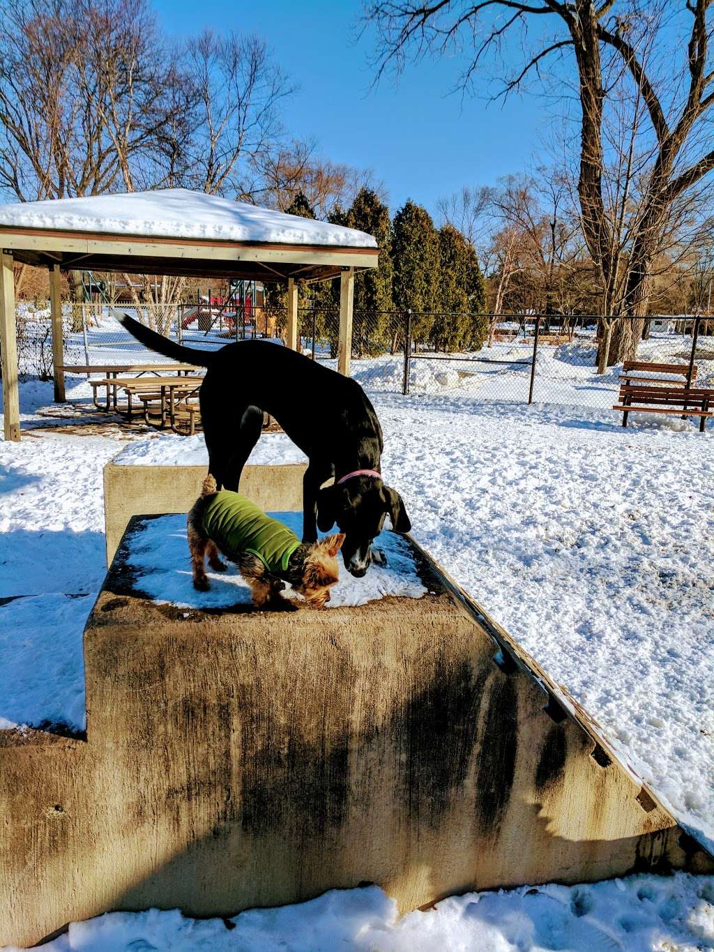 Jaycee Dog Park | 1026 Wilmot Rd, Deerfield, IL 60015 | Phone: (847) 945-0650