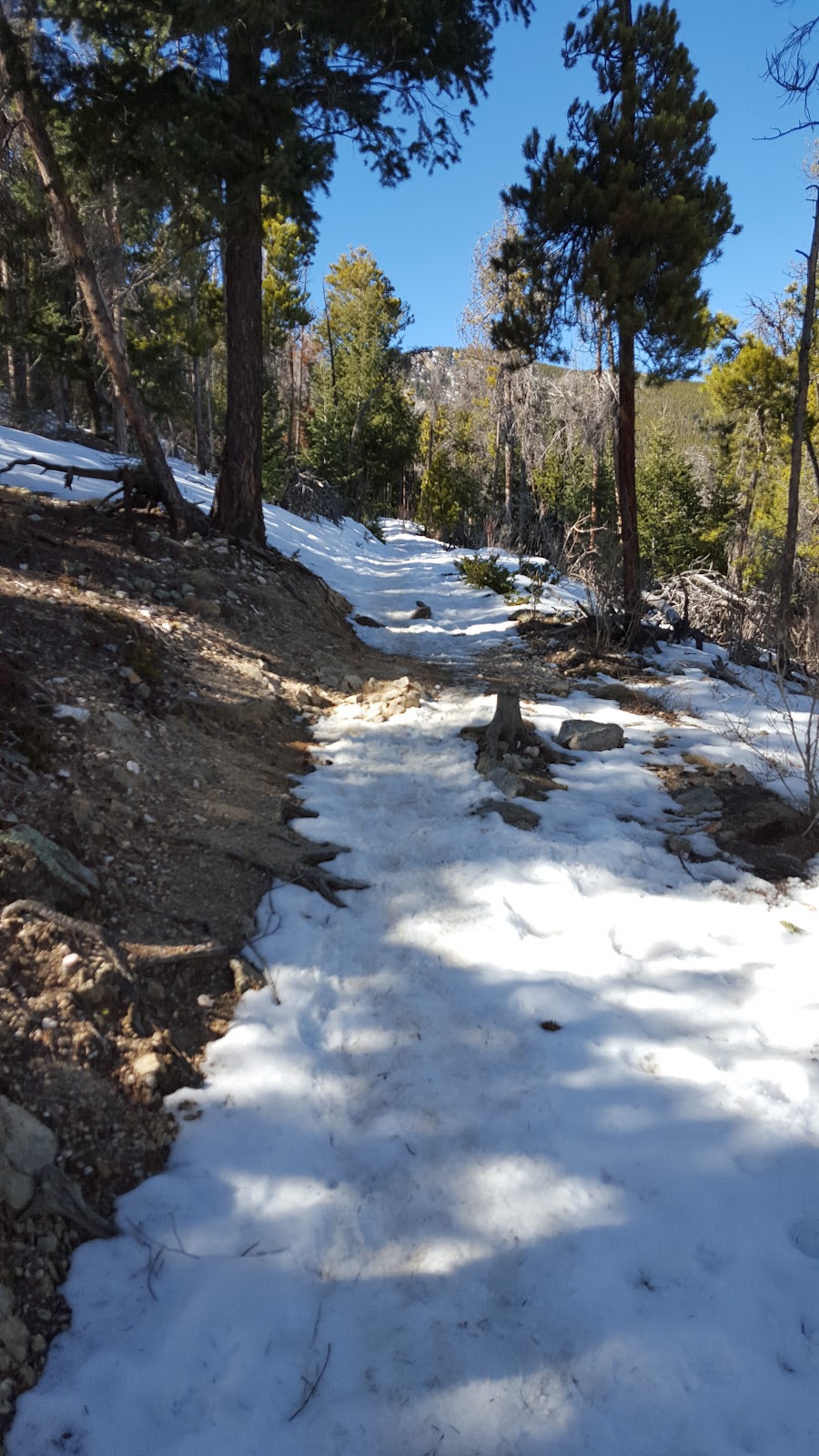 Elk Meadow Park Stagecoach Trailhead | 32281 Stagecoach Blvd, Evergreen, CO 80439, USA | Phone: (303) 271-5925