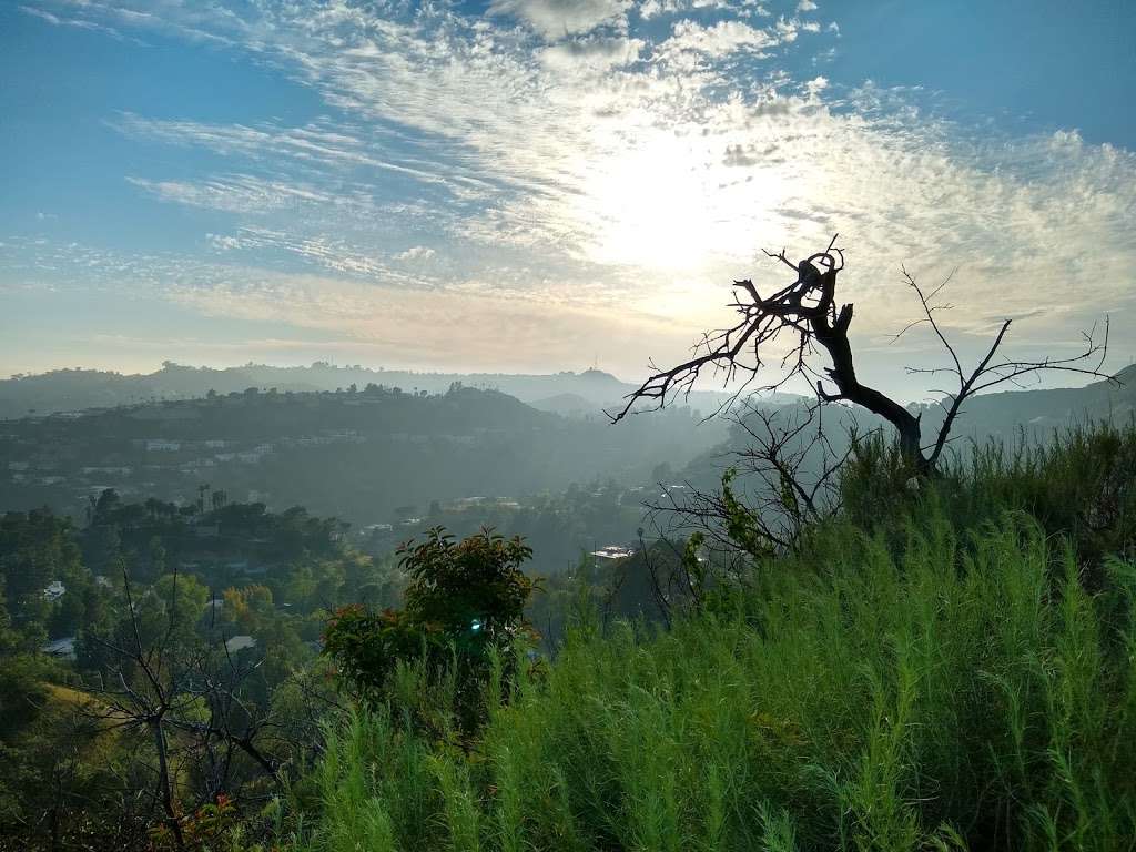 Runyon Canyon North Entrance | 7317 Mulholland Dr, Los Angeles, CA 90046, USA