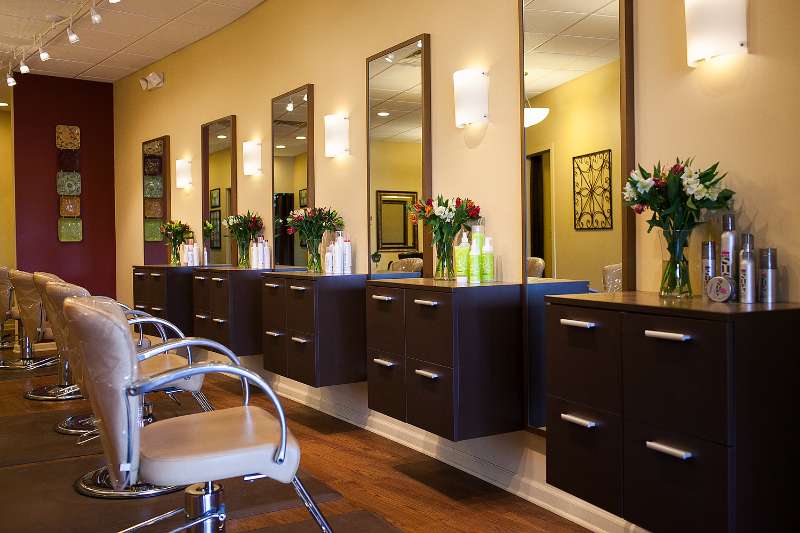 Artiste Salon | 56 Payne Rd, Lebanon, NJ 08833, USA | Phone: (908) 730-8818