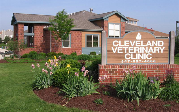 Cleveland Veterinary Clinic | 400 N McLean Blvd, South Elgin, IL 60177, USA | Phone: (847) 697-4066