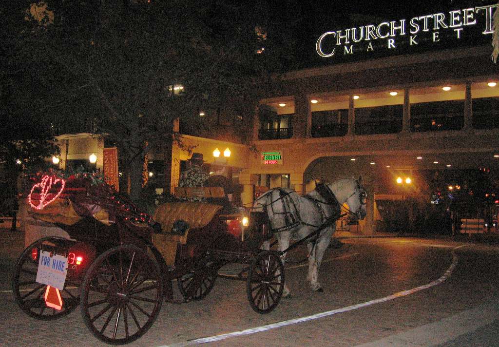 A Hitchn Time Carriages | 20314 Montgomery Rd, Clermont, FL 34715 | Phone: (352) 394-8851