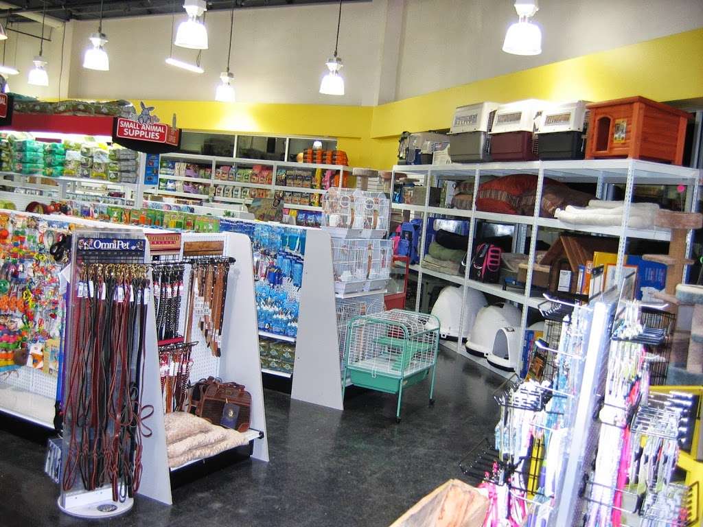 Katies PET DEPOT | 416 Renaissance Rd, North Brunswick Township, NJ 08902, USA | Phone: (732) 422-0056