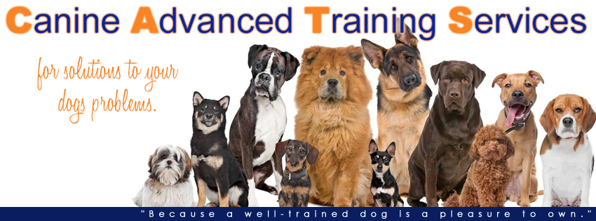 Canine Advanced Training Services | 3328 Lake Hill Ln, Hurst, TX 76053, USA | Phone: (817) 793-7528