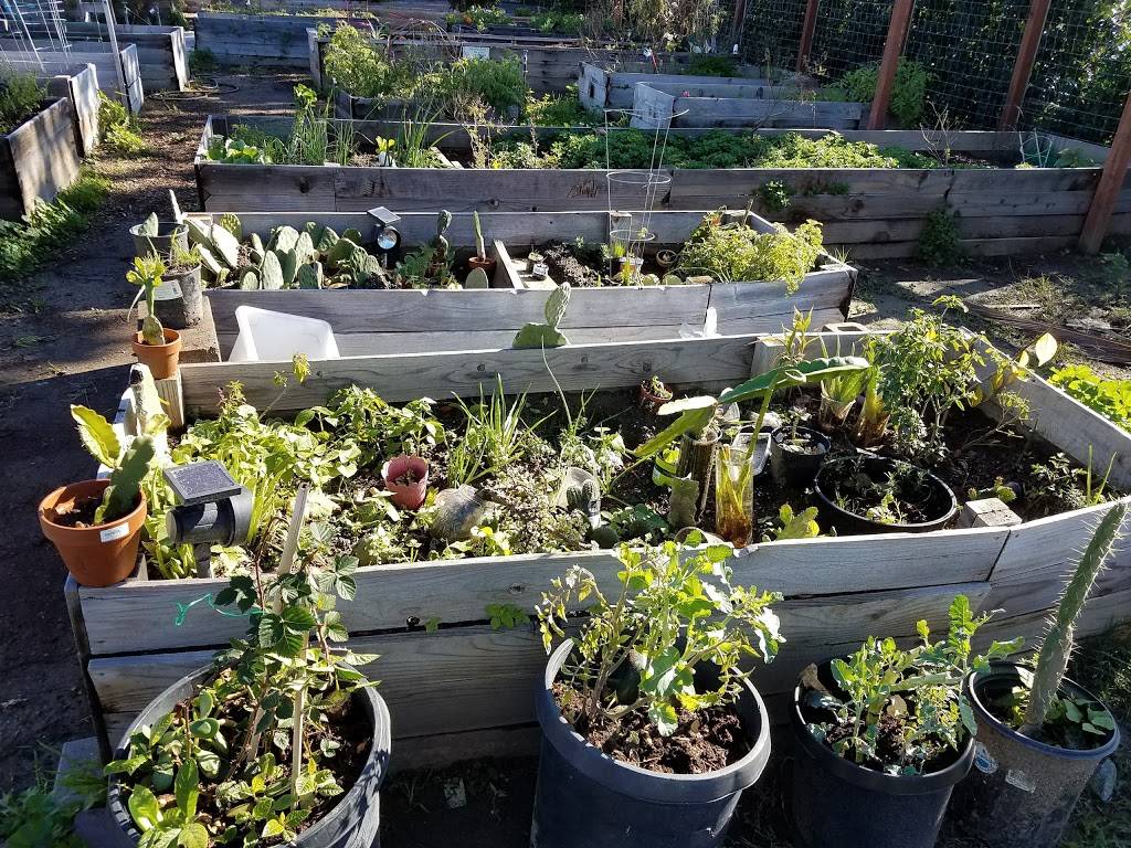 Wig Wag Community Garden | 428 S Melrose St, Anaheim, CA 92805, USA | Phone: (323) 335-8965