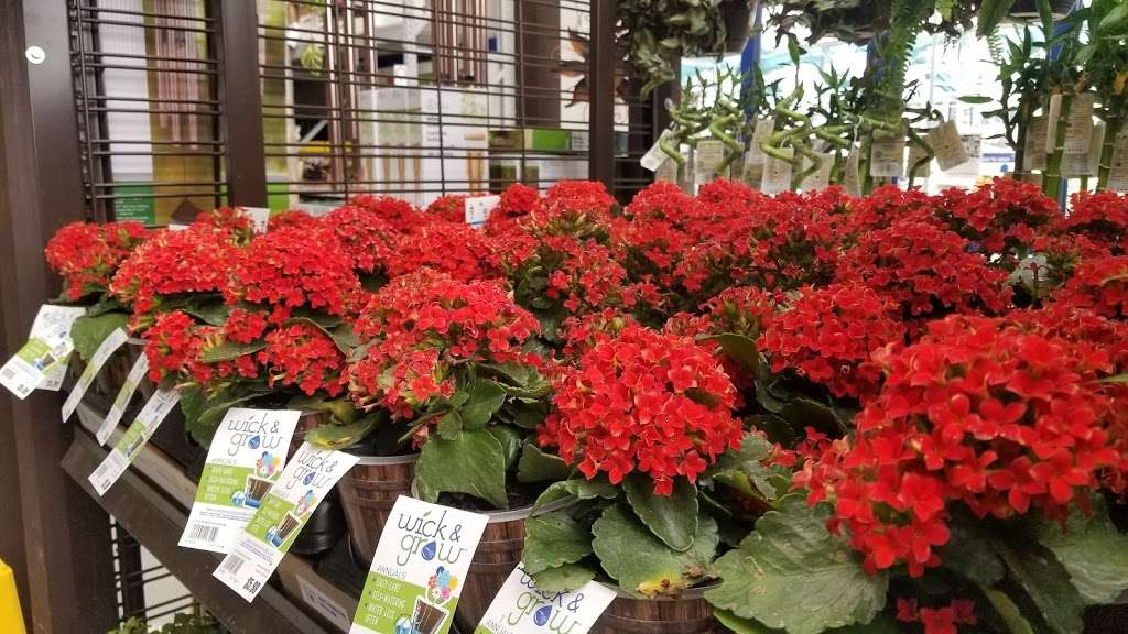 Lowes Garden Center | 12276 Andric Lane, Orlando, FL 32827, USA | Phone: (407) 204-7902