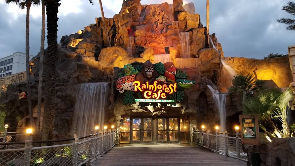 Rainforest Cafe | 5310 Seawall Blvd, Galveston, TX 77551, USA | Phone: (409) 744-6000