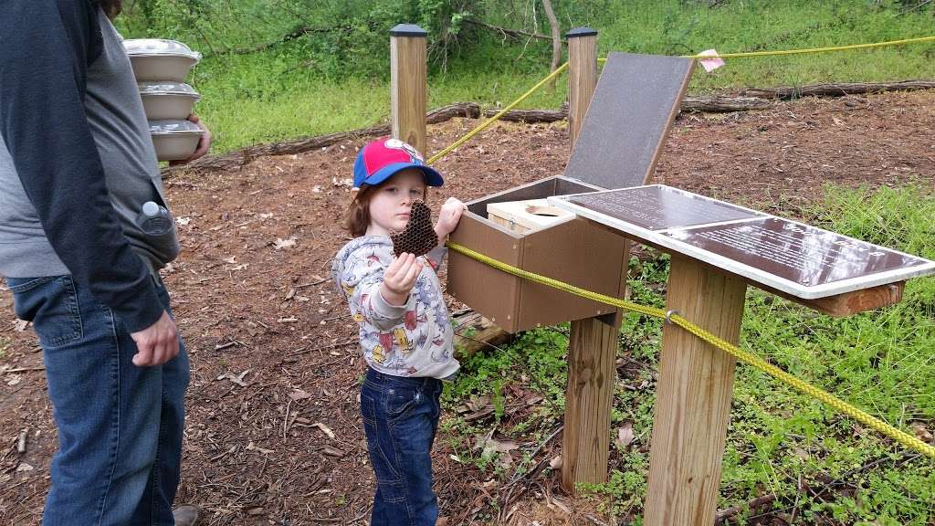 Sensory Trail at Catoctin Creek Park & Nature Center | 2929 Sumantown Rd, Middletown, MD 21769, USA