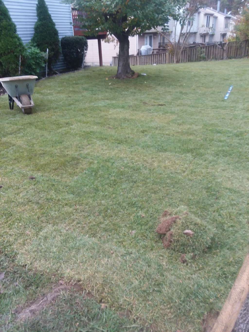 State Wide Removal Services | 8621 Lawrence Hill Rd, Perry Hall, MD 21128, USA | Phone: (410) 931-2866