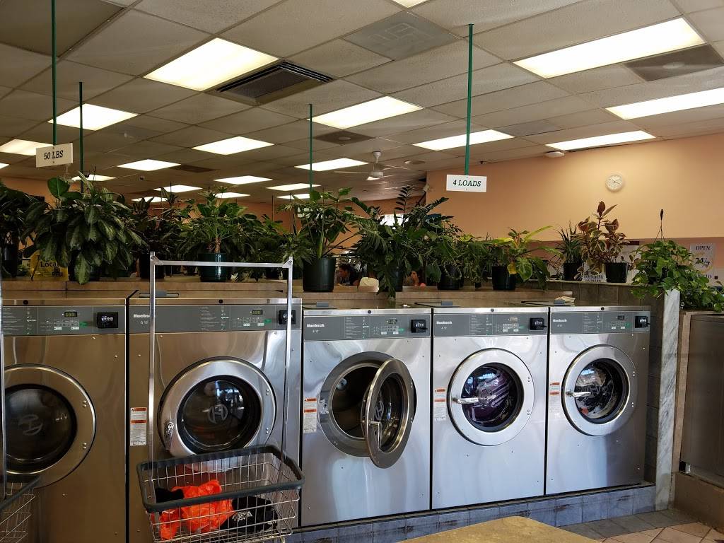 Village Laundromat & Dry Cleaners | 369 S Washington Ave, Bergenfield, NJ 07621, USA | Phone: (201) 385-5239