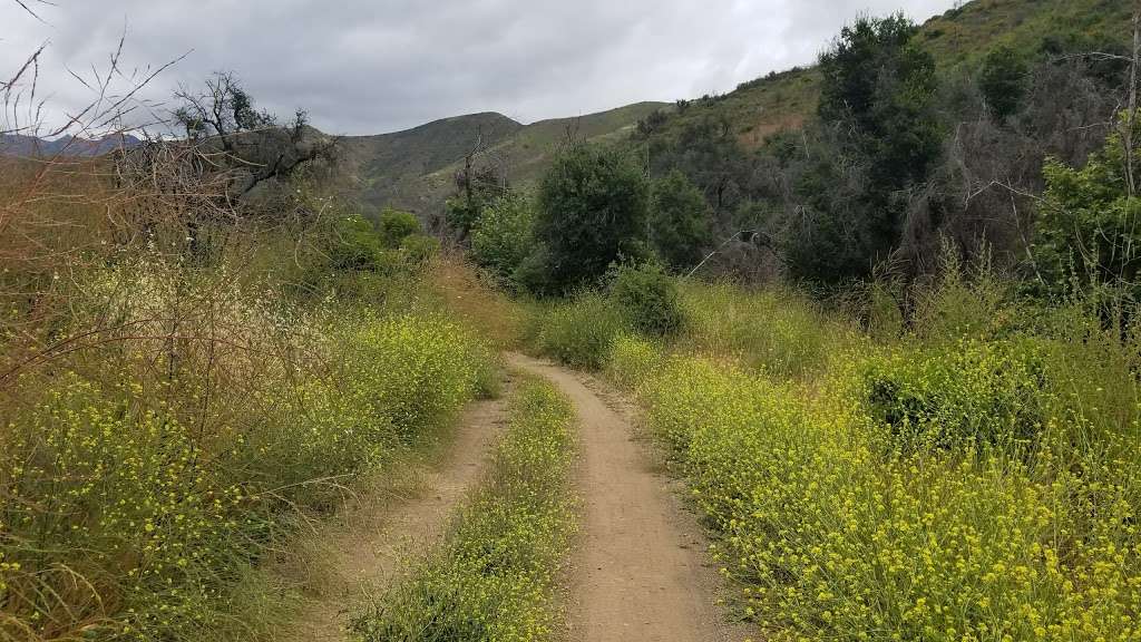 Sycamore Canyon Trailhead | Point Mugu State Park, Malibu, CA 90265, USA | Phone: (310) 457-8143