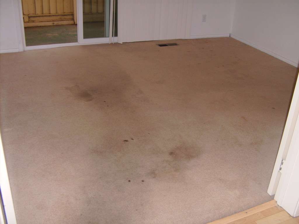 Nova Rugs Carpet Cleaning Sterling | 20925 Cheyenne Terrace, Sterling, VA 20165 | Phone: (703) 337-7676