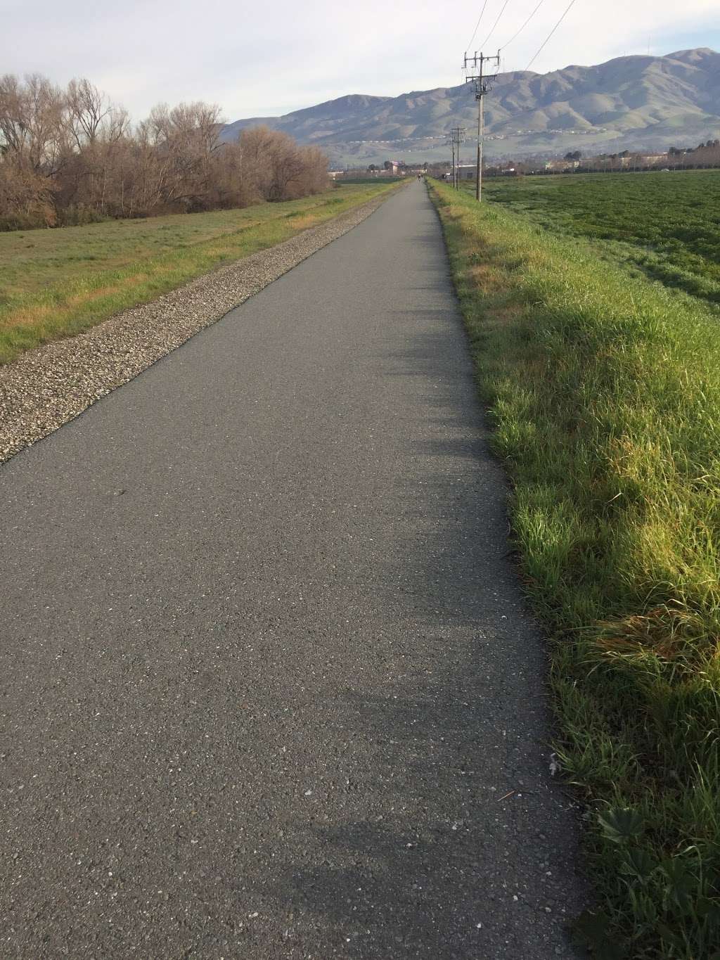 Coyote Creek Trail, Milpitas | Milpitas, CA 95035, USA