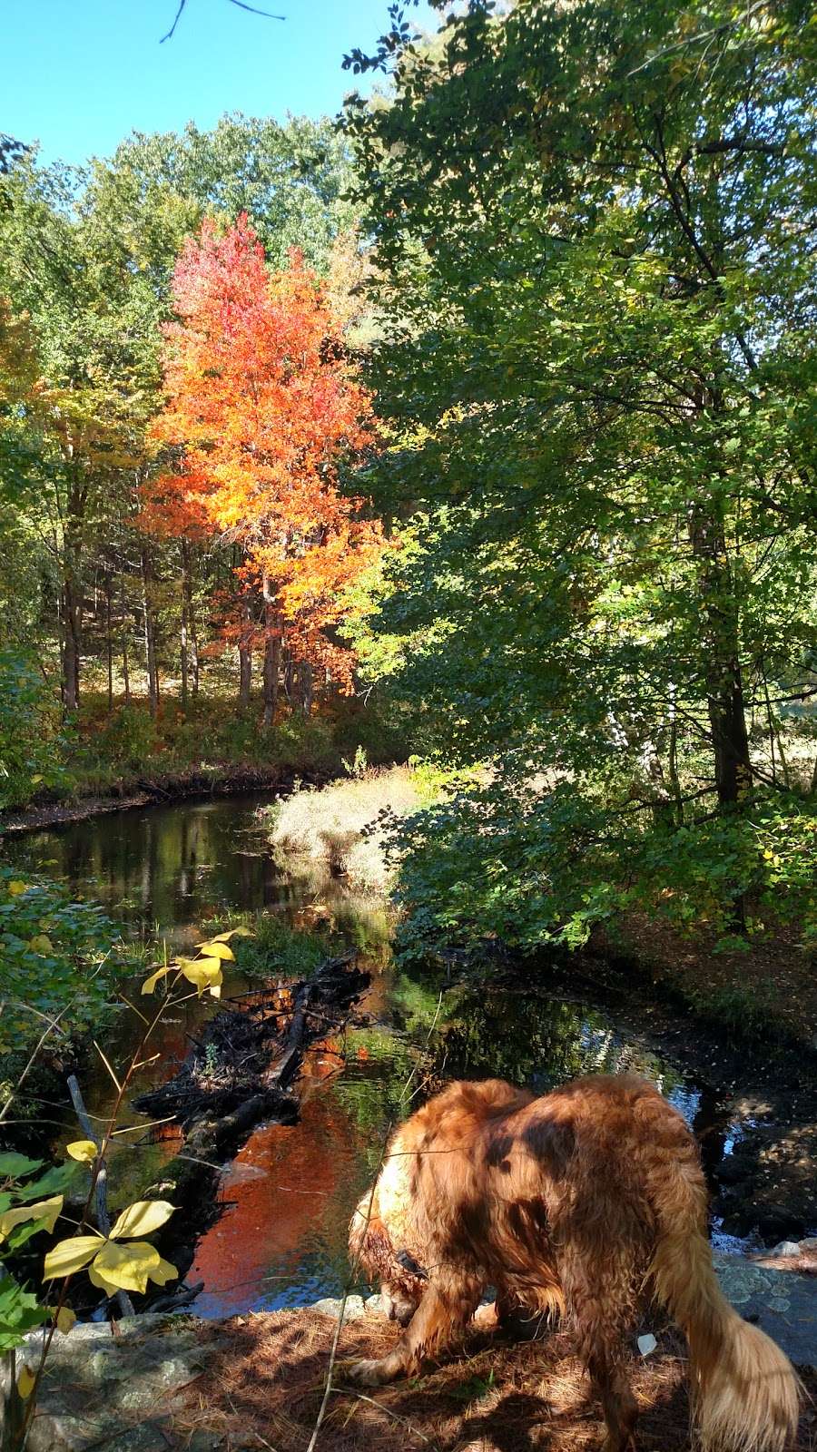 Arched Bridge Conservation Area | High St, Dunstable, MA 01827, USA