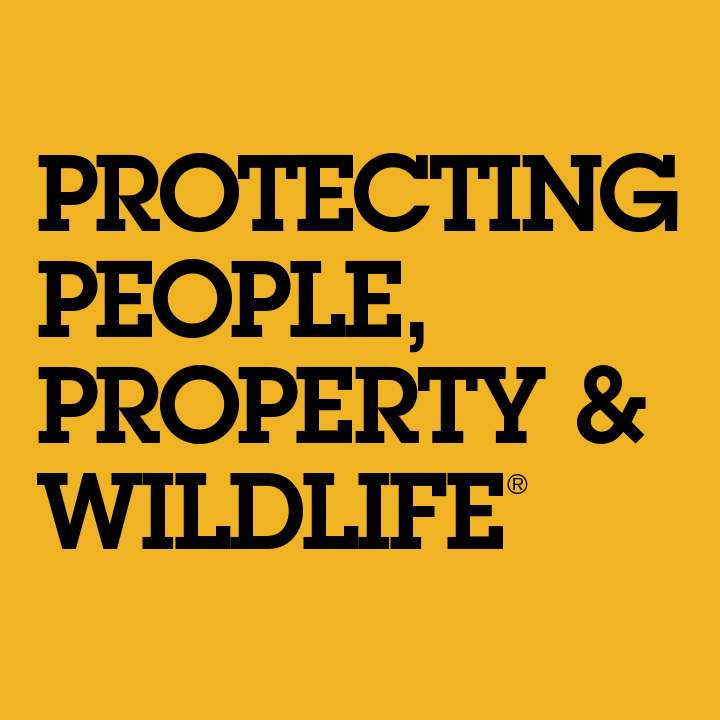 Critter Control Of Indianapolis | 272 South County Rd 300 E, Danville, IN 46122, USA | Phone: (317) 733-0340