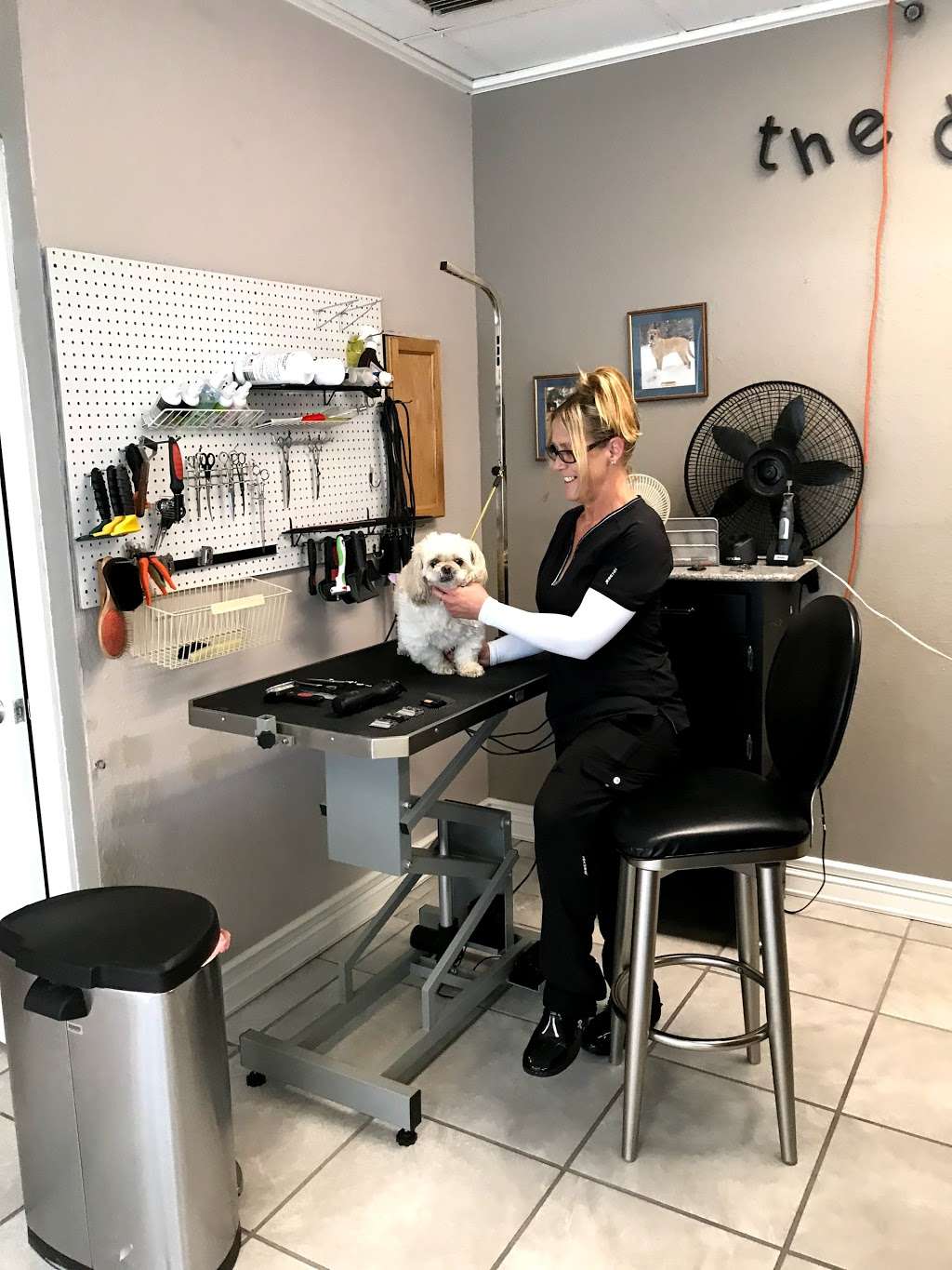 THE DOG HOUSE Grooming Salon | 2535 Meadow Ln, Lakeland, FL 33801 | Phone: (863) 937-8864