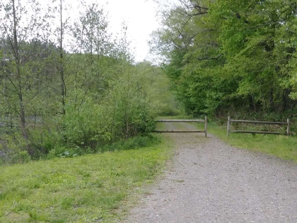 Bolich Wetland Project And Senator James J. Rhodes Nature Trail | 71 Bolich Rd, Ashland, PA 17921, USA