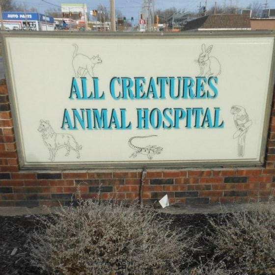 All Creatures Animal Hospital | 3506 Messanie St, St Joseph, MO 64501, USA | Phone: (816) 279-0837