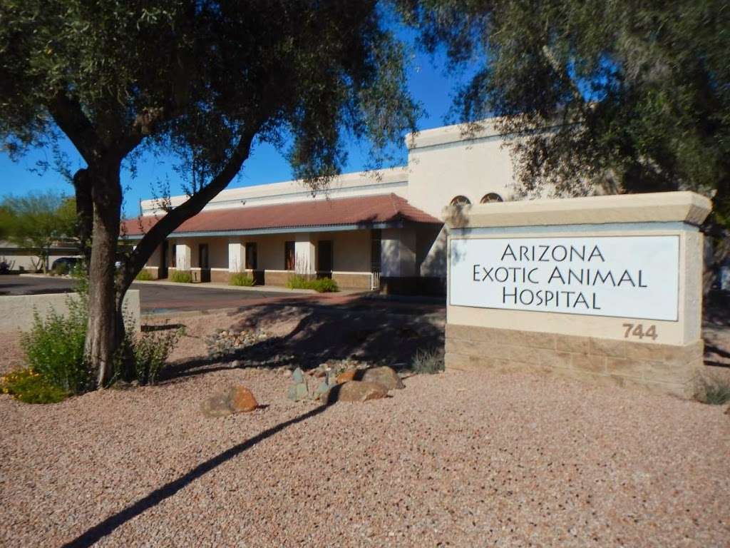 Arizona Exotic Animal Hospital | 744 N Center St #101, Mesa, AZ 85201, USA | Phone: (480) 275-7017