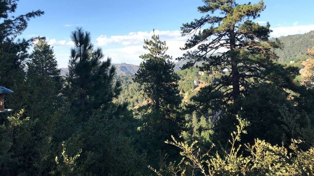 Blue Jay Getaway | 24326 Wabern Dr, Crestline, CA 92325, USA | Phone: (951) 203-2120