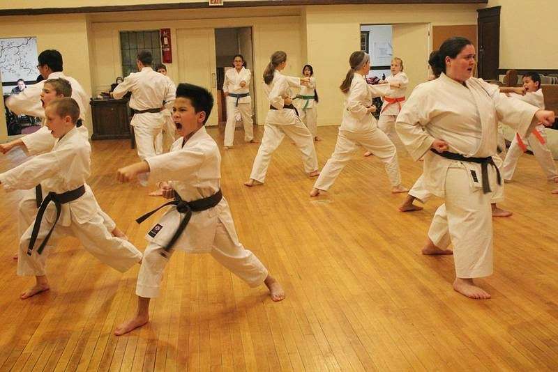 Enso Karate - Oak Park Dojo | 1045 S Kenilworth Ave, Oak Park, IL 60304, USA